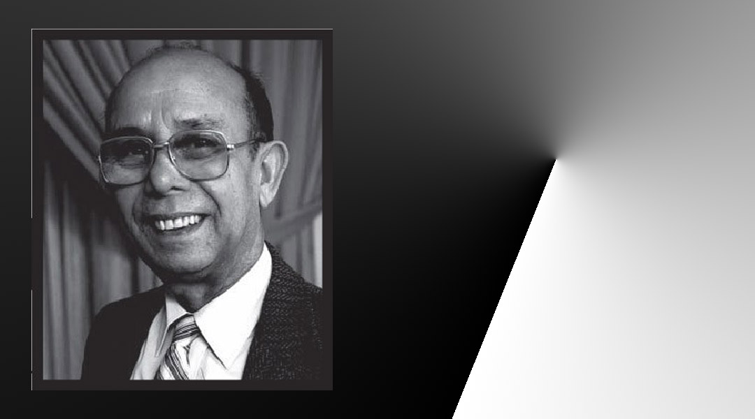 মাতৃভূমিঃ সমস্যা ও সম্ভাবনা - মীজান রহমান