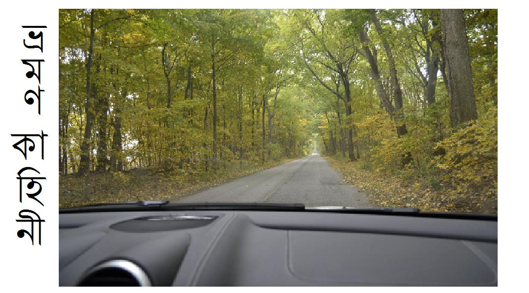 ঝরা পাতার গল্প - সাইফুল ভূঁইয়া 