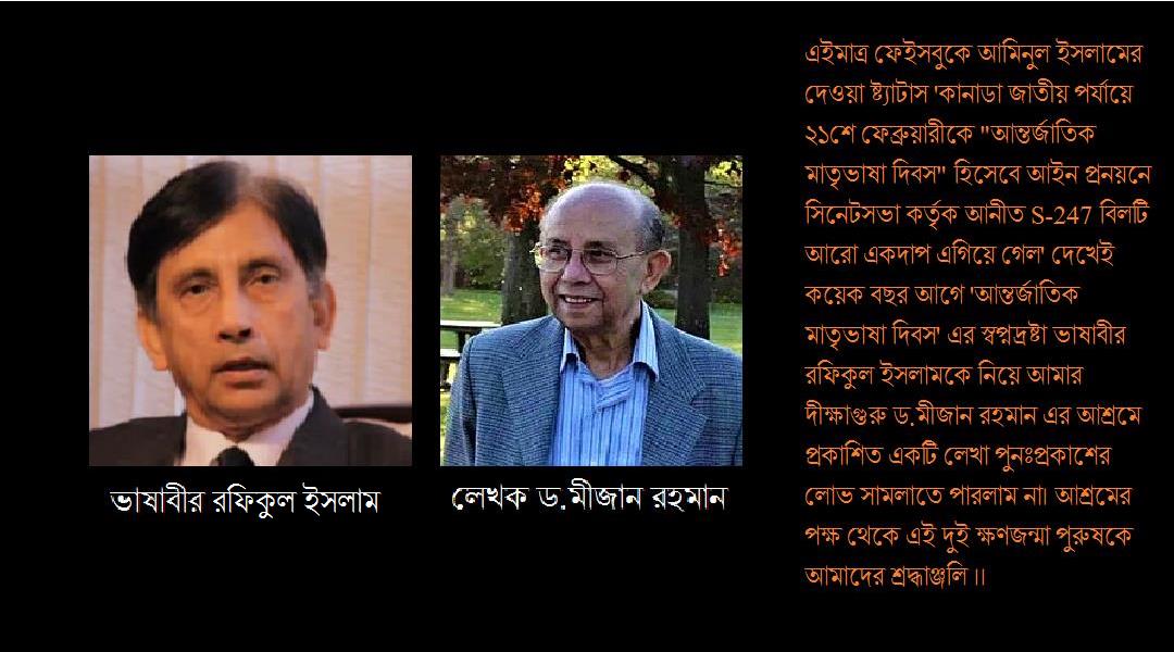 একজন দেশপ্রেমিকের দীর্ঘ ছায়াতে - মীজান রহমান