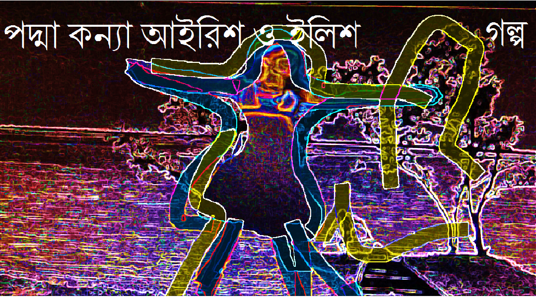 পদ্মা কন্যা আইরিশ ও ইলিশ! - আফফান ইয়াসিন