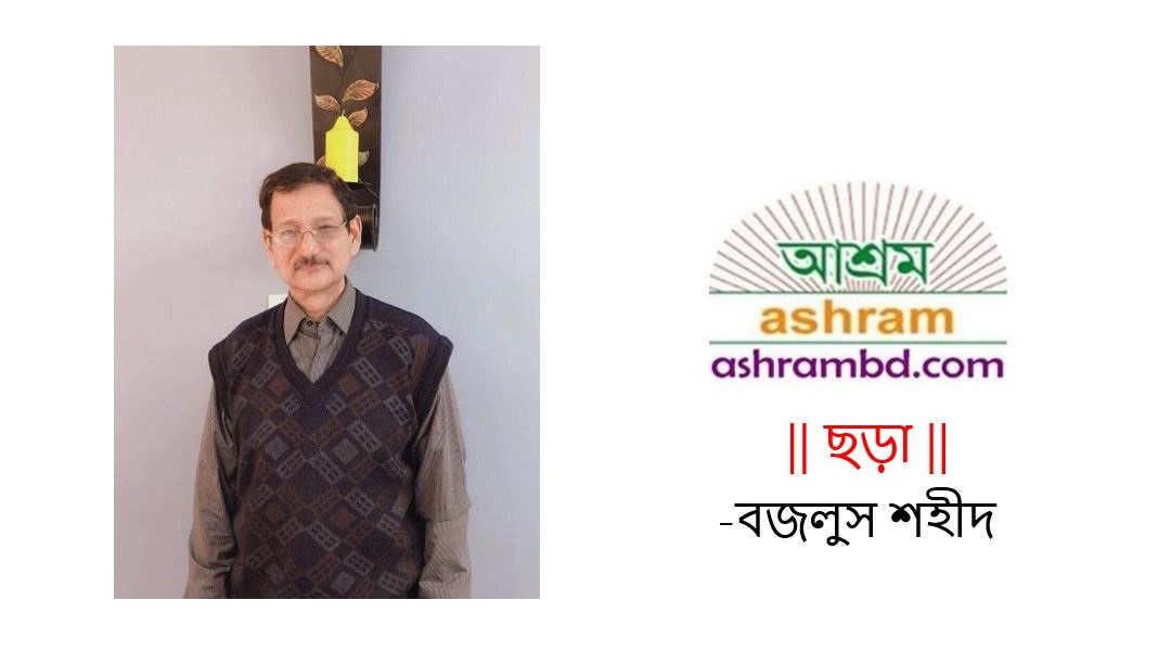 মধ্যরাতের বুদ্ধি ঘোড়া -বজলুস শহীদ