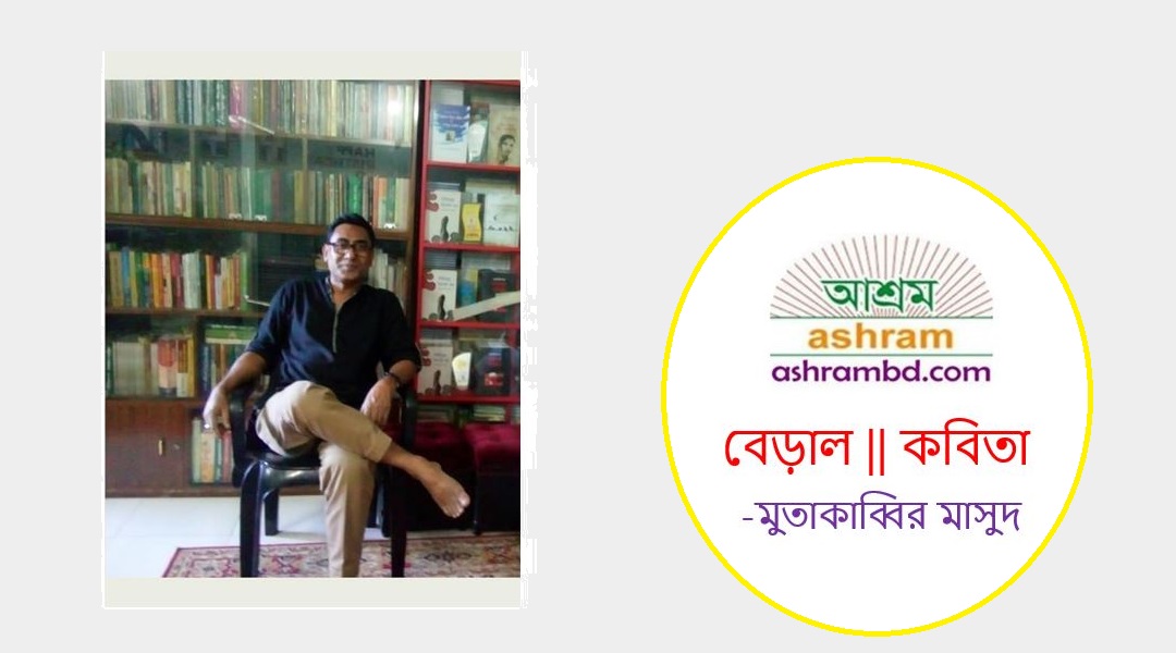 বেড়াল - মুতাকাব্বির মাসুদ