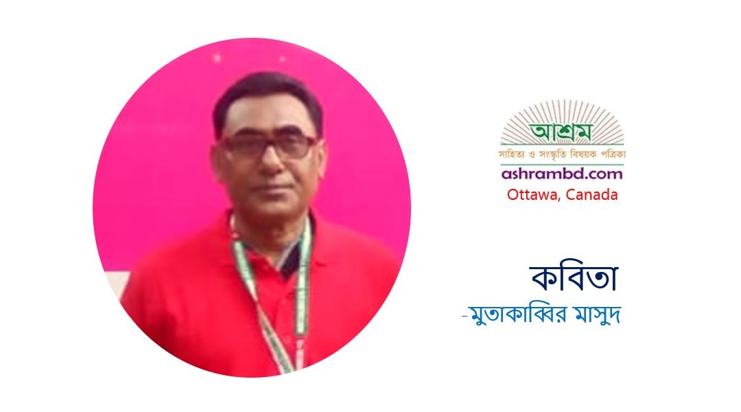 বাদামি চিল - মুতাকাব্বির মাসুদ