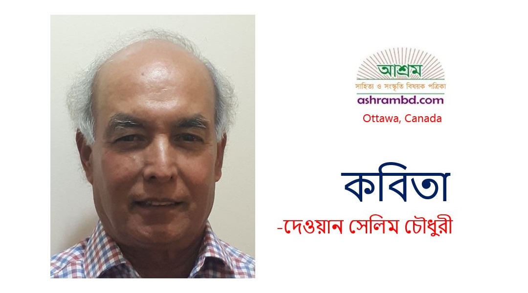 ইতিহাস উল্টো রথে - দেওয়ান সেলিম চৌধুরী