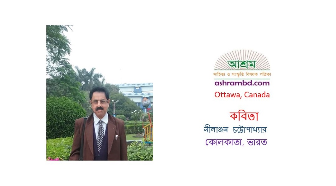 বজ্রপাত - নীলাঞ্জন চট্টোপাধ্যায়