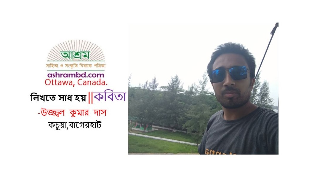 লিখতে সাধ হয় - উজ্জ্বল কুমার দাস