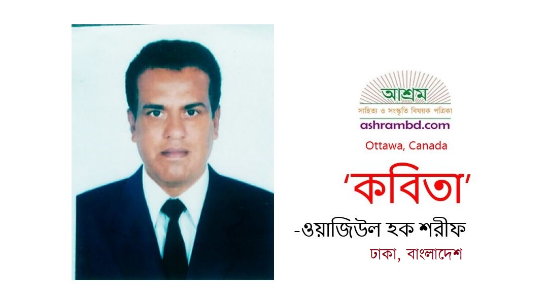 সেখানেই ফিরে যেতে চাই  - ওয়াজিউল হক শরীফ