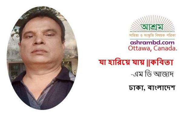 যা হারিয়ে যায় - এম ডি আজাদ