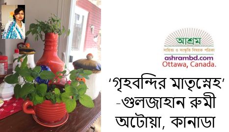 গৃহবন্দির মাতৃস্নেহ  - গুলজাহান রুমী