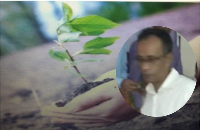 আমি এক বৃক্ষ, আমার কাহিনী - বেলাল উদ্দিন