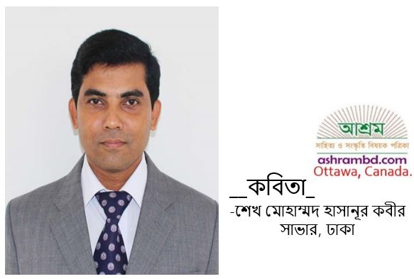 পদাতিক সময় -শেখ মোহাম্মদ হাসানূর কবীর 