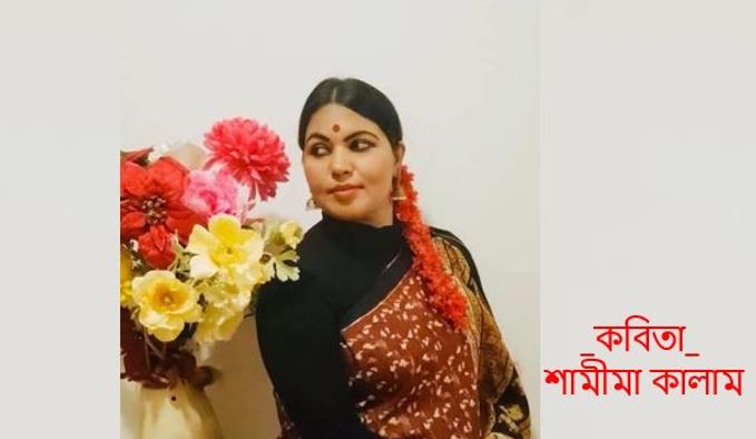 গৃহবন্দীর জবানবন্দী - শামীমা কালাম