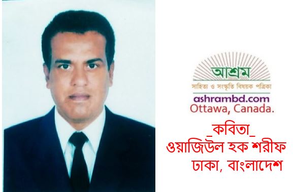 মমতার ছায়া - ওয়াজিউল হক শরীফ