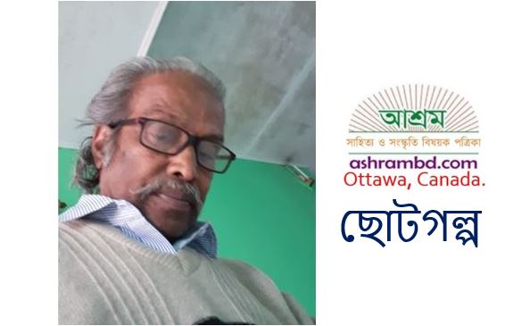 সুখের ছবি - সুনির্মল বসু