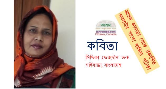 মহাপ্রস্থান - সিদ্দিকা ফেরদৌস তরু