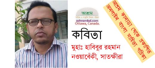 শূন্য ভিটায় নোনা প্লাবন - মুহাঃ হাবিবুর রহমান