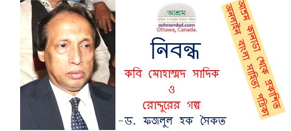 কবি মোহাম্মদ সাদিক ও রোদ্দুরের গল্প - ড. ফজলুল হক সৈকত