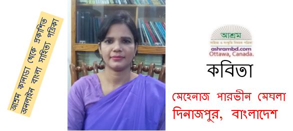 তবুও ভালোবাসি - মেহেনাজ পারভীন মেঘলা