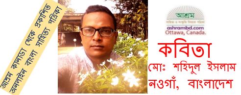 সেই দিনগুলো - মোঃ শহিদুল ইসলাম