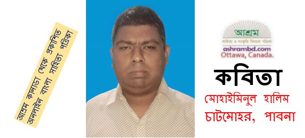 হেমন্ত এসেছে বলে - মোহাইমিনুল হালিম