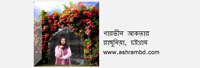 বিজয়ী  সারথি - পারভীন আকতার