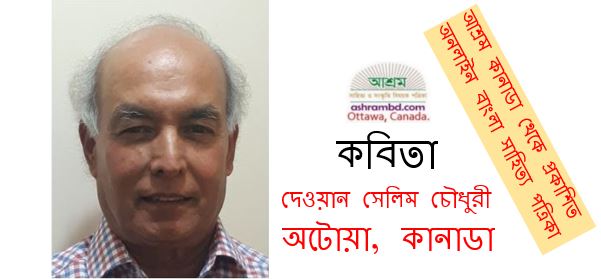 চোরের বিবর্তন - দেওয়ান সেলিম চৌধূরী