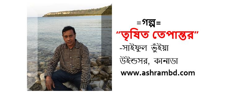 তৃষিত তেপান্তর - সাইফুল ভুঁইয়া