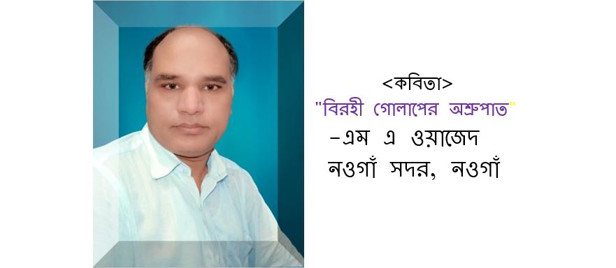 বিরহী গোলাপের অশ্রুপাত - এম এ ওয়াজেদ