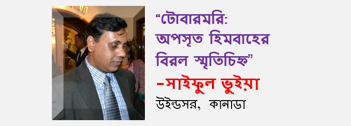 টোবারমরি: অপসৃত হিমবাহের বিরল স্মৃতিচিহ্ন  - সাইফুল ভুইয়া