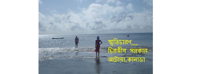 ভরা জোছনার রাতে কোন এক দ্বীপে – চিরঞ্জীব সরকার