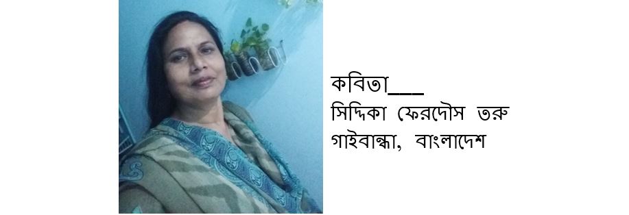 সিদ্দিকা ফেরদৌস তরু-র দু'টি কবিতা