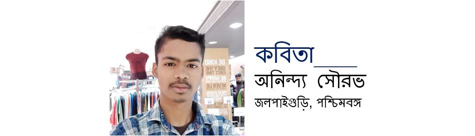 বিরামহীন অপেক্ষা - অনিন্দ্য সৌরভ