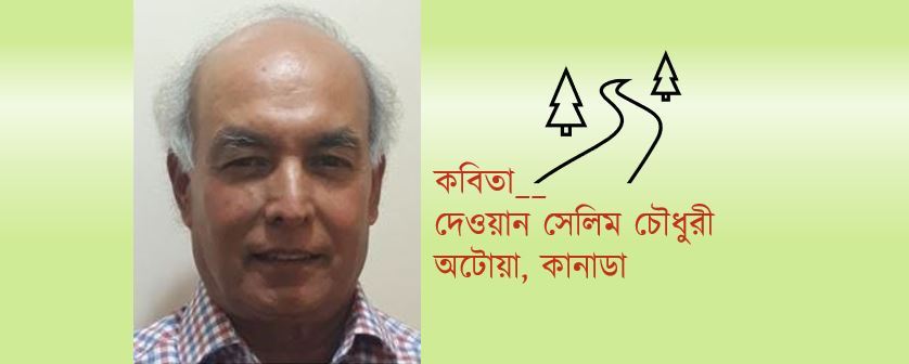 কে দেবে জবাব তার - দেওয়ান সেলিম চৌধুরী