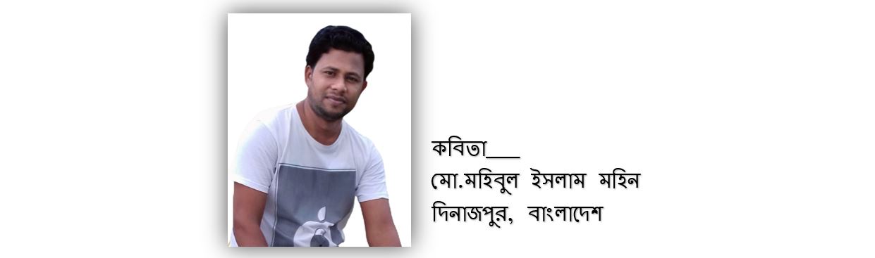 হিসেবী দুনিয়া - মো.মহিবুল ইসলাম মহিন