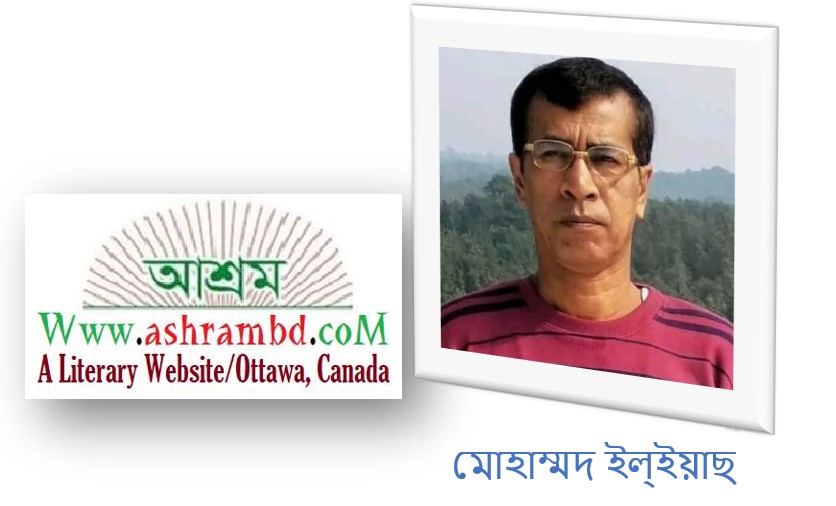 দৃষ্টিপাতের সন্দর্শন - মোহাম্মদ ইল্ইয়াছ