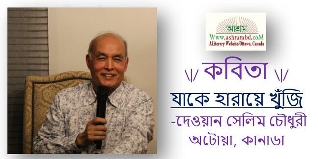 যাকে হারায়ে খুঁজি - দেওয়ান সেলিম চৌধুরী