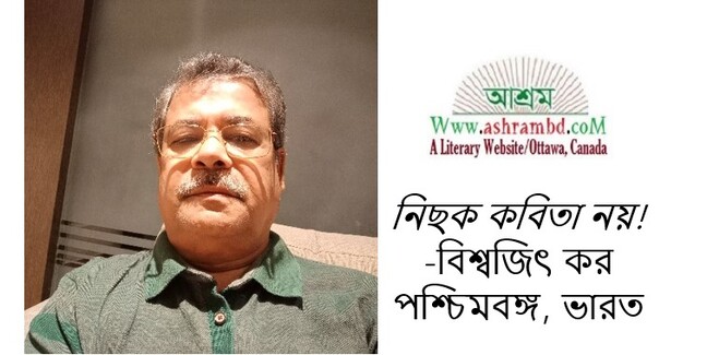 নিছক কবিতা নয়! - বিশ্বজিৎ কর