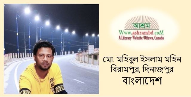 সুখের অভিনয় - মো.মহিবুল ইসলাম মহিন