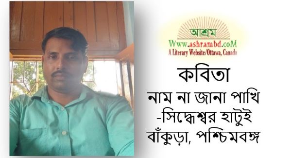 নাম না জানা পাখি - সিদ্ধেশ্বর হাটুই