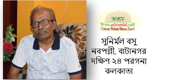 কয়েকটি লাল কাঁকড়া এবং ঘর খোঁজা - সুনির্মল বসু