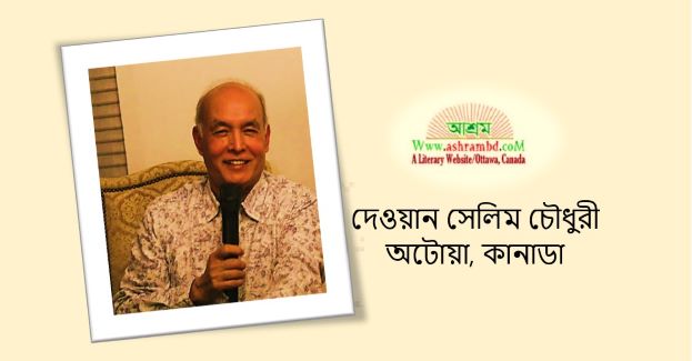 ভ্রান্ত দুঃস্বপন - দেওয়ান সেলিম চৌধুরী