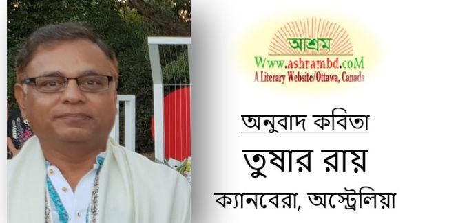 অনুবাদ (কবিতা) - তুষার রায়