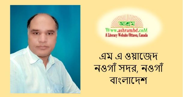 বিস্রস্ত ভাবোচ্ছ্বাস এবং অপ্রত্যয়ী বেয়াড়াপনা - এম এ ওয়াজেদ