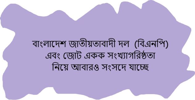 বাংলাদেশের ত্রয়োদশ জাতীয় সংসদ নির্বাচন ২০২৬, ফলাফল এবং কিছু কথা
